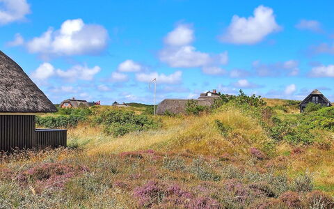 Kajin - 200M from the Sea: Legna, Tetto, Architettura, Casa, Casa, Villetta, Raccordo, Latifoglie, Pendenza, Estate