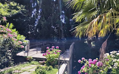 Casa sul Torrente: Vegetazione, Arbusto, Giardino, Primavera, Landscaping, Backyard, Shade, Cortile, Giardino Botanico