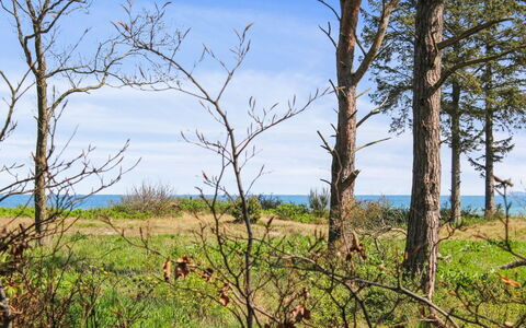 Carit - 80M from the Sea: Estate, Shade, Driveway, Agriturismo