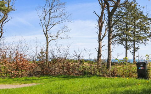 Carit - 80M from the Sea: Estate, Shade, Driveway, Agriturismo