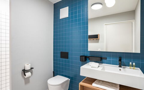 Thyon-Les Collons 9000: Idraulico Fixture, Interior Design, Bagno, Pavimentazione, Pavimento, Lavello, Lavandino Del Bagno, Idraulico, Gabinetto, Specchio