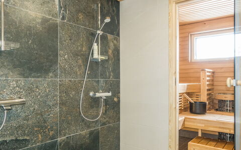 Saana Aurora: Pavimentazione, Pavimento, Interior Design, Idraulico Fixture, Piastrella, Materiale Composito, Bagno, Idraulico, Soffitto, Soffione Doccia