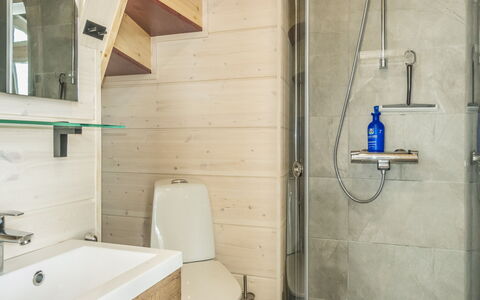 Saana Aurora: Pavimentazione, Idraulico Fixture, Parete, Interior Design, Pavimento, Legna, Bagno, Lavandino Del Bagno, Lavello, Gabinetto