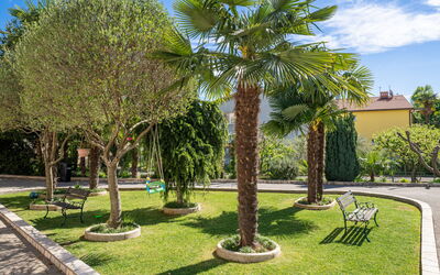 Palms