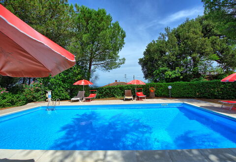 Leccino: Acqua, Pianta, Proprietà, Piscina, Nube, Natura, Azzurro, Cielo, Albero, Shade