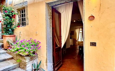 Vicolo Della Scala Rooms: Pianta, Proprietà, Costruzione, Finestra, Fiore, Azzurro, Vaso Di Fiori, Porta, Legna