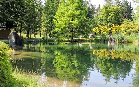 Carli: Acqua, Corpo D'Acqua, Albero, Risorse Idriche, Verde, Natura, Ambiente Naturale, Paesaggio Naturale, Alveo, Riflessione