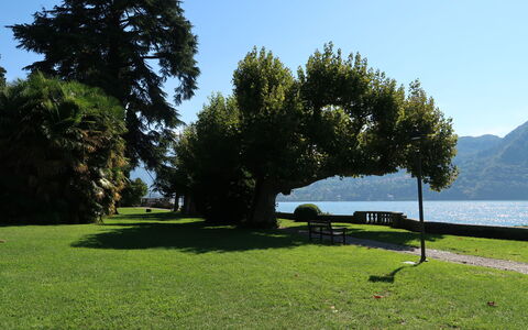 Regina 29: Erba, Paesaggio Naturale, Paesaggio, Prato, Panchina, Tronco, Giardino, Lago, Parco