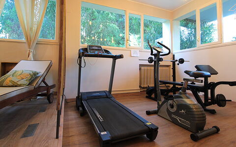 Catullo 18 Apartment, Garda Lake, Jacuzzi, Fitness: Proprietà, Macchina Per Allenamento, Finestra, Legna, Interior Design, Pavimento, Pavimentazione, Latifoglie, Apparecchiatura Esercitazione