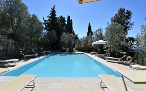 Villa Sette Ponti Levante: Acqua, Cielo, Piscina, Azzurro, Albero, Shade, Tempo Libero, Materiale Composito, Immobiliare, Rettangolo