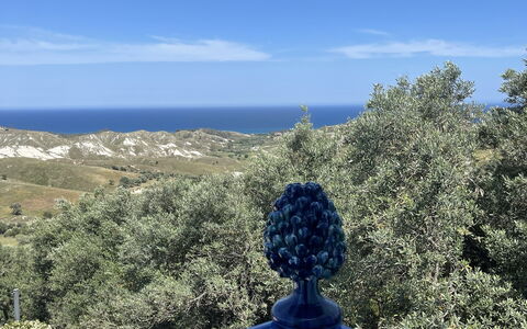 Villa Acquaro, Santa Caterina Dello Ionio, Pool, A: Blu, Paesaggio, Arbusto, Woody Impianto, Shrubland, Chaparral