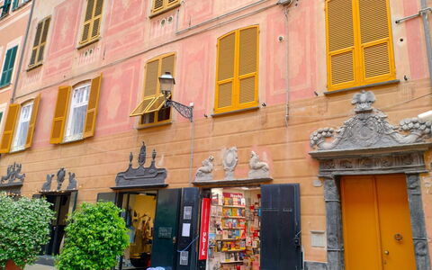 Silent Bay Historical: Pianta, Proprietà, Finestra, Costruzione, Porta, Vaso Di Fiori, Arancia, Giallo, Quartiere