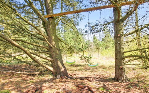 Efimija - 1.4Km from the Sea: Ramo, Legna, Ramoscello, Tronco, Riserva Naturale, Foresta, Woody Impianto, Woodland, Suolo