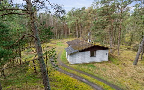 Awa - 800M from the Sea: Albero, Legna, Foresta, Lotto, Villetta, Area Rurale, Woodland, Capannone