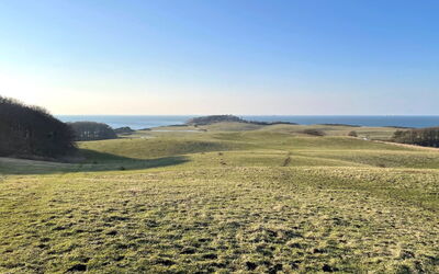 Gjuro - 800M from the Sea