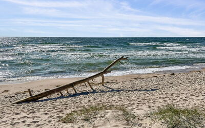 Tilje - 800M from the Sea