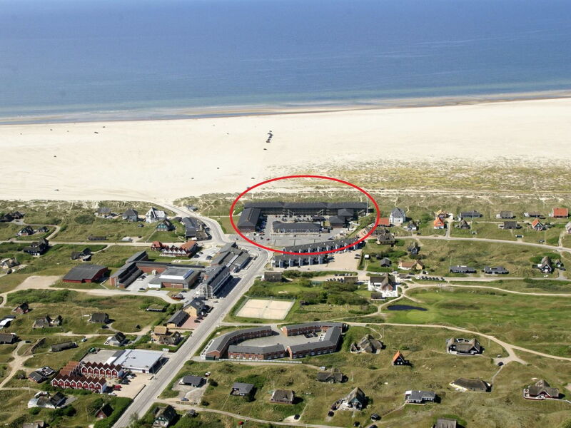 Brynhild - 50M from the Sea