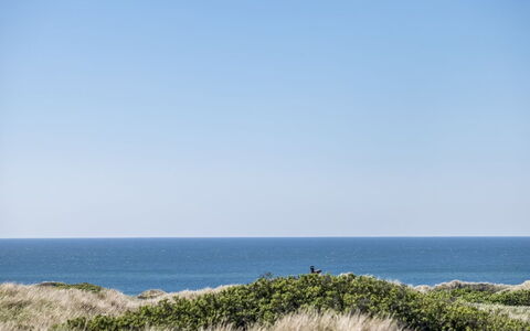 Carit - 450M from the Sea: Erba, Verde, Casa, Villetta, Pascolo, Area Rurale, Ecoregione, Paesaggio, Lotto, Arbusto