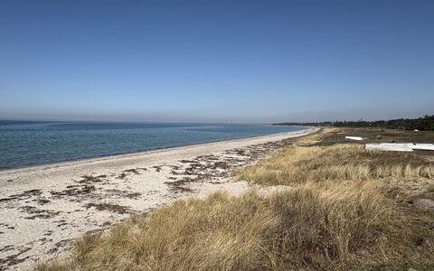 Cita - 350M from the Sea: Acqua, Spiaggia, Costa, Orizzonte, Riva, Mare, Costiera E Morfologie Oceanic, Sabbia