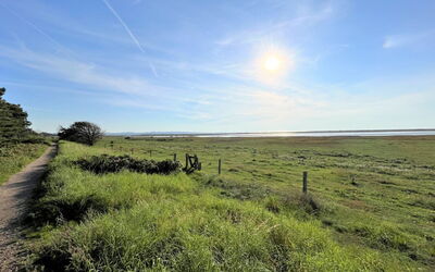 Zezilie - 500M from the Sea