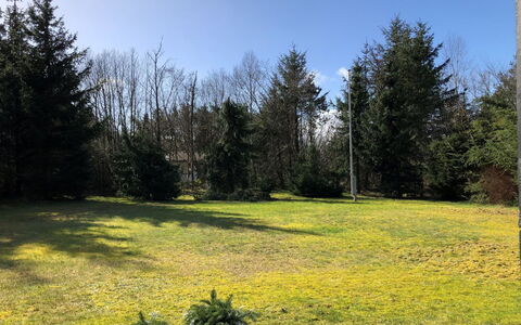 Bosse - from the Sea: Verde, Foglia, Erba, Giallo, Arbusto, Paesaggio, Giardino, Lotto, Prato, Plain