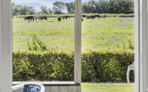 Janin - 400M from the Sea: Blu, Arbusto, Villetta, Groundcover, Giardino, Estate, Shade, Landscaping, Agriturismo, Eco Hotel