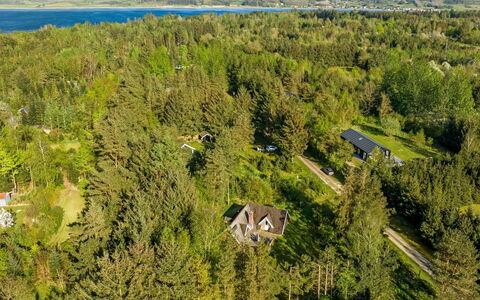 Niesina - 600M to the Fjord: Albero, Ambiente Naturale, Vegetazione, Paesaggio, Visione Globale, Fotografia Aerea, Lotto, Area Rurale, Foresta, Piantagione