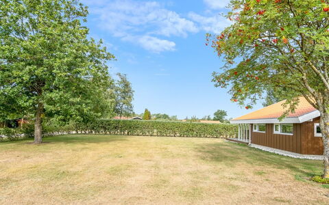 Maira - from the Sea: Erba, Albero, Plain, Paesaggio, Arbusto, Lotto, Casa, Area Rurale, Giardino