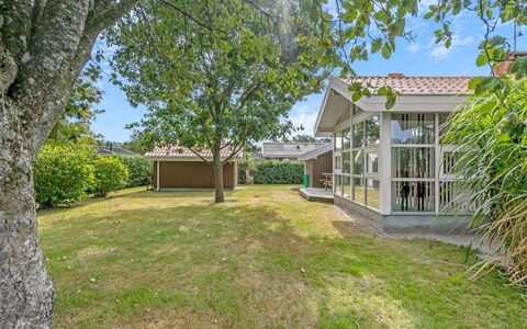 Maira - from the Sea: Erba, Casa, Zona Residenziale, Arbusto, Casa, Giardino, Estate, Lotto, Prato