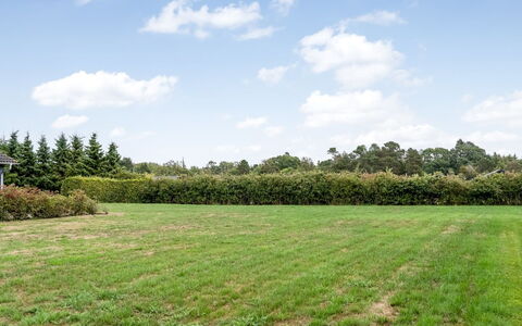 Lari - 600M from the Sea: Albero, Ambiente Naturale, Verde, Pascolo, Arbusto, Plain, Lotto, Campo, Groundcover