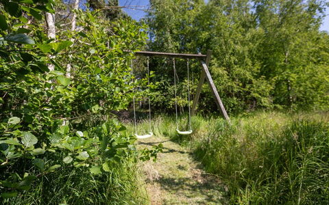 Ejvi - 4Km from the Sea: Erba, Ambiente Naturale, Vegetazione, Arbusto, Comunita 'Impianto, Groundcover, Riserva Naturale, Foresta, Woodland