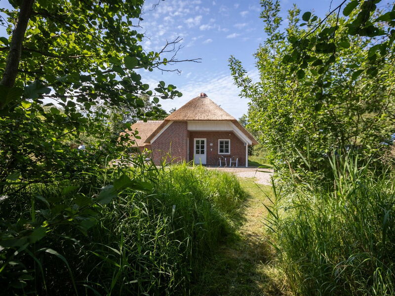 Ejvi - 4Km from the Sea