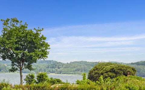 Thorward - 100M from the Sea: Legna, Casa, Portico, Deck, Latifoglie, Tetto, Color Legno, Pavimento In Legno, Eco Hotel