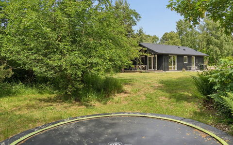 Vojdan - 600M from the Sea: Albero, Erba, Arbusto, Lotto, Area Rurale, Casa, Giardino, Villetta, Prato