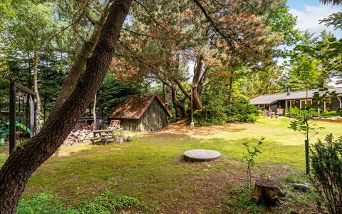 Jenvold - 1.5Km from the Sea: Albero, Foglia, Erba, Natura, Ramo, Arbusto, Giardino, Lotto, Area Rurale, Villetta