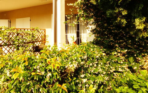 Casa Vacanze Sabrina: Pianta, Costruzione, Vegetazione, Luce Del Sole, Woody Impianto, Groundcover, Erba, Tinte E Ombre, Arbusto, Paesaggio Naturale