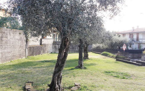 Casa Vacanze Sabrina: Pianta, Ramo, Lotto, Albero, Erba, Costruzione, Woody Impianto, Tinte E Ombre, Paesaggio, Shade