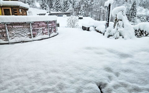 Zur Schönen Aussicht: Neve, Mondo, Pianta, Ramo, Albero, Congelamento, Biome, Finestra, Quartiere, Mattina