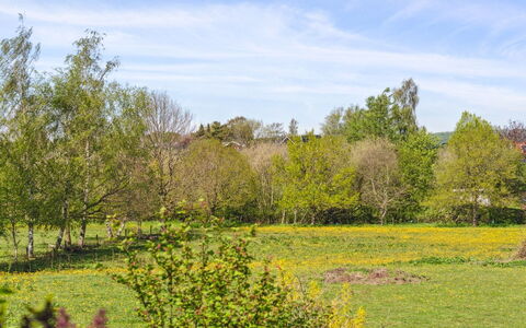 Sölvy - 300M from the Sea: Albero, Erba, Verde, Foglia, Natura, Ambiente Naturale, Ramo, Pascolo, Paesaggio Naturale, Vegetazione