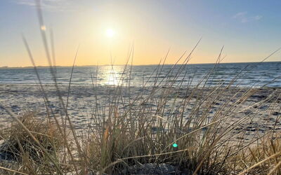 withger - 1.6km From The Sea
