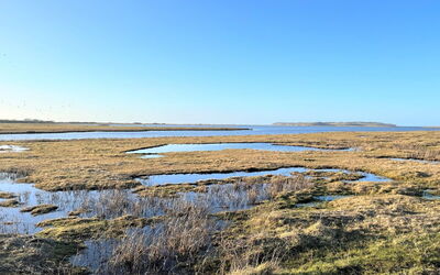 withger - 1.6km From The Sea