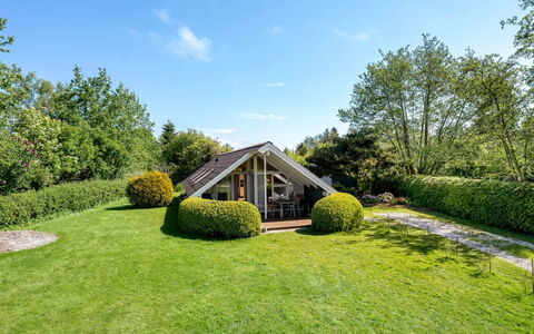 Tytti - 300M from the Sea: Vegetazione, Arbusto, Primavera, Villetta, Giardino, Shade, Backyard, Cortile, Sedia