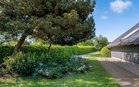 Tytti - 300M from the Sea: Vegetazione, Arbusto, Primavera, Villetta, Giardino, Shade, Backyard, Cortile, Sedia