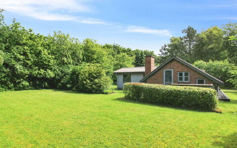 Ofrath - 30Km from the Sea: Erba, Verde, Albero, Pascolo, Arbusto, Casa, Villetta, Paesaggio, Giardino