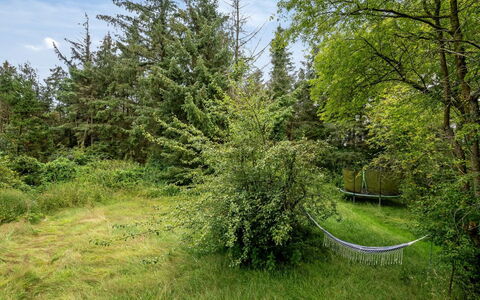 Wiss - 4.1Km from the Sea: Erba, Legna, Area Rurale, Arbusto, Villetta, Tetto, Plain, Lotto, Casa, Groundcover