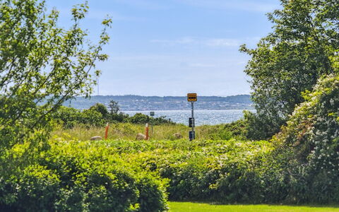 Hermund - 100M from the Sea: Cielo, Blu, Verde, Natura, Erba, Foglia, Vegetazione, Paesaggio Naturale, Arbusto, Paesaggio
