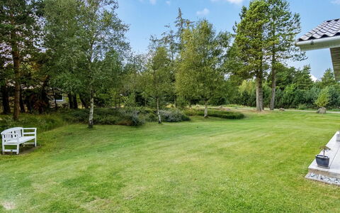 Fiallar - 3.2Km from the Sea: Albero, Erba, Giardino, Arbusto, Prato, Lotto, Groundcover, Primavera
