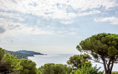 Villa G: Acqua, Cielo, Nube, Pianta, Piscina, Albero, Shade, Materiale Composito, Erba, Paesaggio