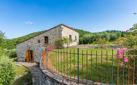 Alloggio:&nbsp;Cerretino Oliveto 647.3