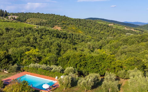 Castellina in Chianti 647: Nube, Pianta, Cielo, Comunita 'Impianto, Verde, Paesaggio Naturale, Acqua, Lotto, Albero, Erba